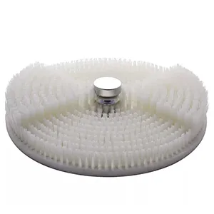 Brush disc